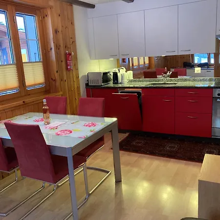Haus Alpenperle 公寓 萨斯阿尔马格尔