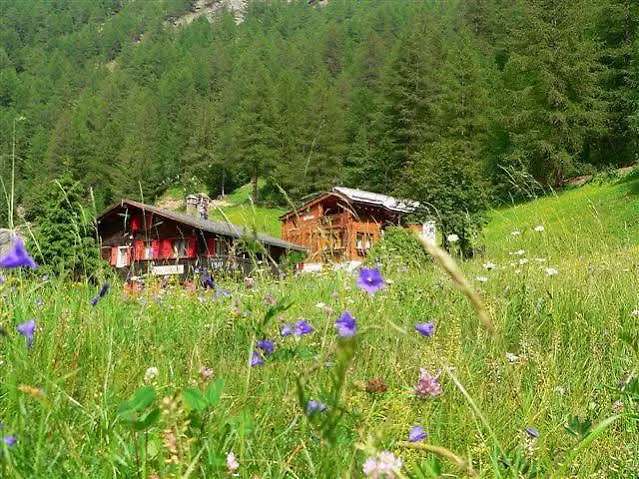 Haus Alpenperle 萨斯阿尔马格尔